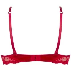 Gefütterter Seiden BH SPLENDEUR SOIE Von Lise Charmel 28 Gefütterter Seiden BH SPLENDEUR SOIE Von Lise Charmel -Modische Unterwäsche bh gefuettert seide acc8580b rot 2478 splendeur soie lise charmel 1