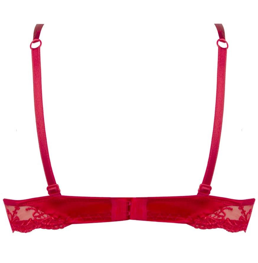 Gefütterter Seiden BH SPLENDEUR SOIE Von Lise Charmel 9 Gefütterter Seiden BH SPLENDEUR SOIE Von Lise Charmel – Bild 7