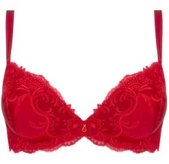 Gefütterter Seiden BH SPLENDEUR SOIE Von Lise Charmel 36 Gefütterter Seiden BH SPLENDEUR SOIE Von Lise Charmel -Modische Unterwäsche bh gefuettert seide acc8580d rot 2478 splendeur soie lise charmel 2 1