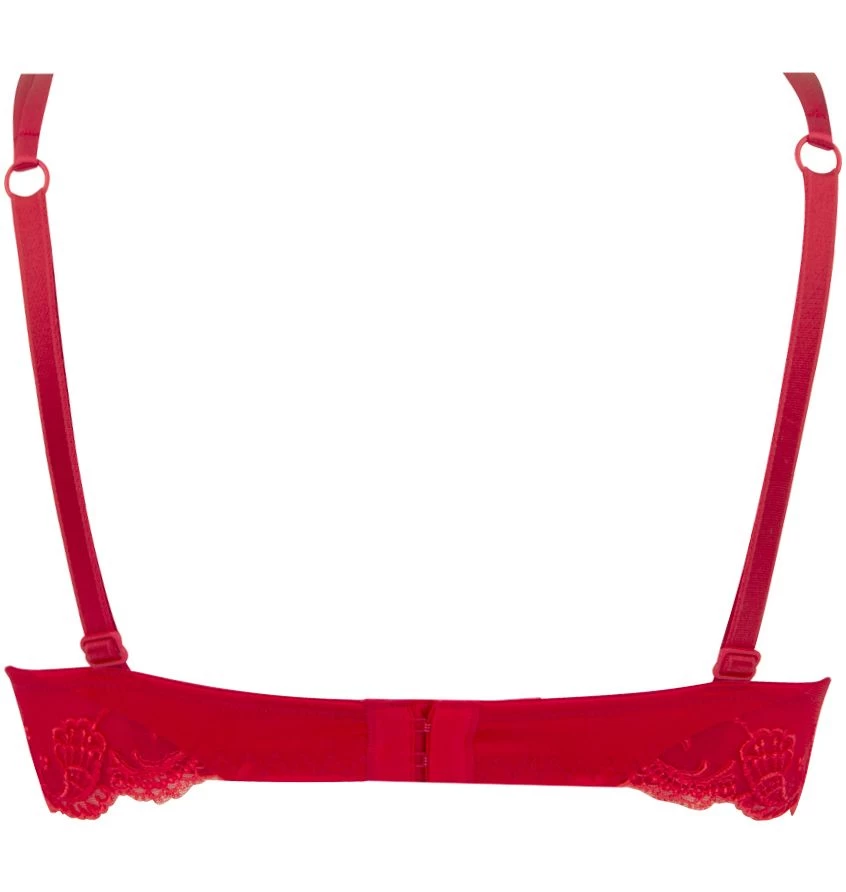 Gefütterter Seiden BH SPLENDEUR SOIE Von Lise Charmel 18 Gefütterter Seiden BH SPLENDEUR SOIE Von Lise Charmel – Bild 16