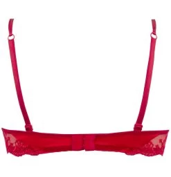 Seiden BH SPLENDEUR SOIE Von Lise Charmel 26 Seiden BH SPLENDEUR SOIE Von Lise Charmel -Modische Unterwäsche bh halbschale seide acc3080b rot 2478 splendeur soie lise charmel