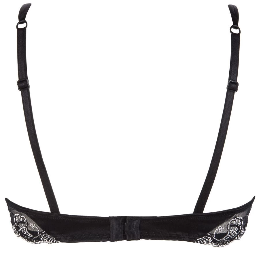 Seiden BH SPLENDEUR SOIE Von Lise Charmel 14 Seiden BH SPLENDEUR SOIE Von Lise Charmel – Bild 12