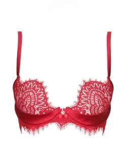 BLACK SWAN Spitzen Push Up BH Von Prelude Milano -Modische Unterwäsche push up bh pads spitze ys285 rot black swan prelude milano 2