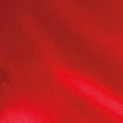 Seiden-String Mit Schleife NIKOLE Von Exilia -Modische Unterwäsche seide rot exilia 1 1 1